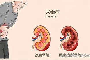 开云官网登录入口网址查询电话截图2